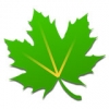 Greenify手机软件app