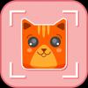 猫脸相机手机软件app