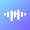 音乐元数据手机软件app
