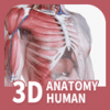 口袋人体解剖手机软件app